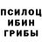 Псилоцибиновые грибы прущие грибы Milena Shahnazaryan