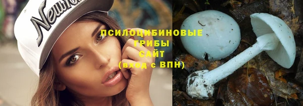 мяу мяу мука Арсеньев