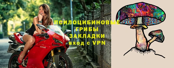 мяу мяу мука Арсеньев